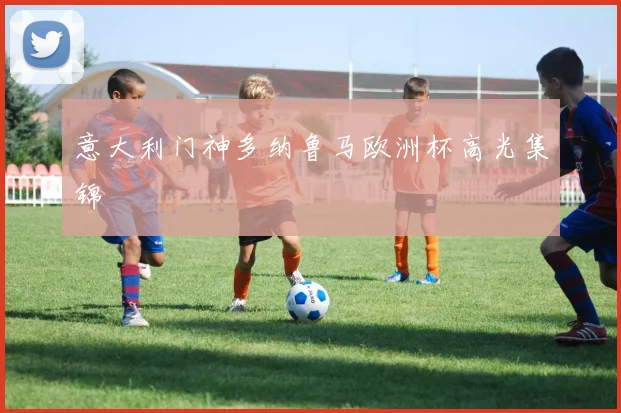 意大利门神多纳鲁马欧洲杯高光集锦