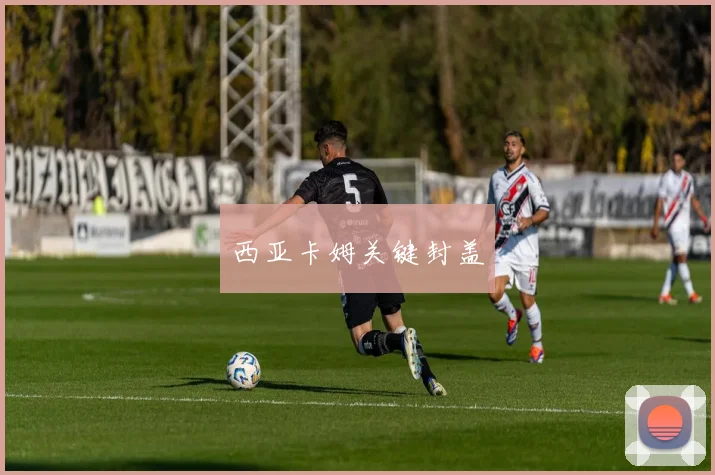 西亚卡姆关键封盖