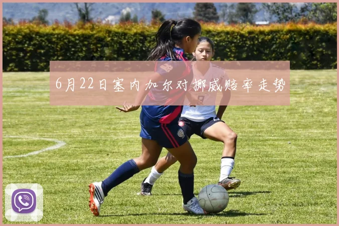 6月22日塞内加尔对挪威赔率走势