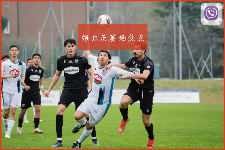 维尔茨赛场焦点