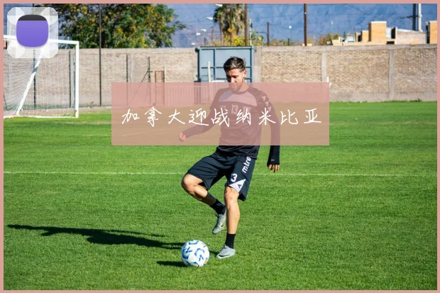 加拿大迎战纳米比亚