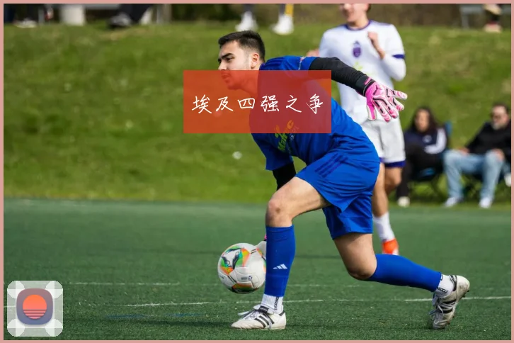 埃及四强之争