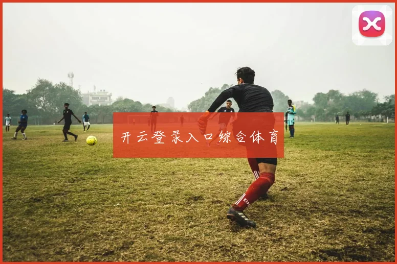 开云登录入口综合体育