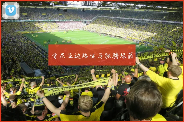 肯尼亚边路快马驰骋绿茵