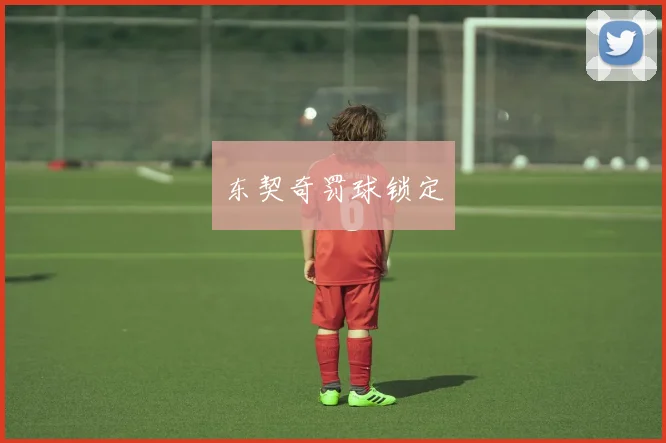 东契奇罚球锁定
