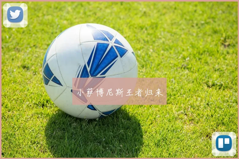 小萨博尼斯王者归来