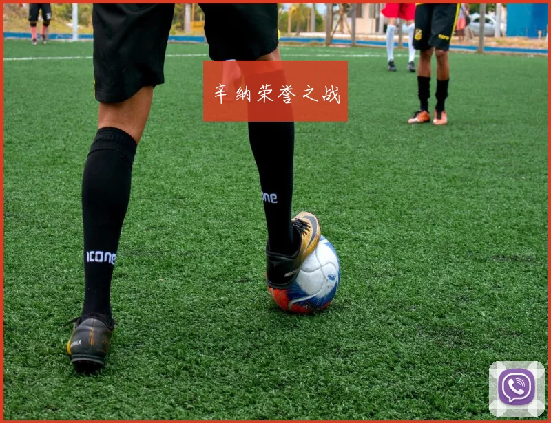 辛纳荣誉之战