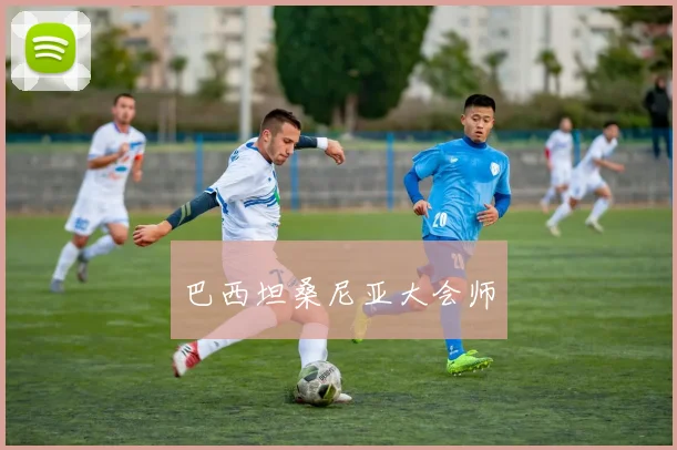 巴西坦桑尼亚大会师