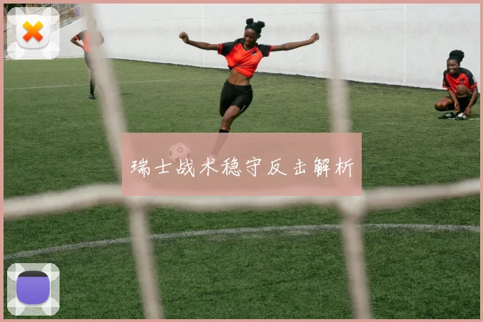 瑞士战术稳守反击解析