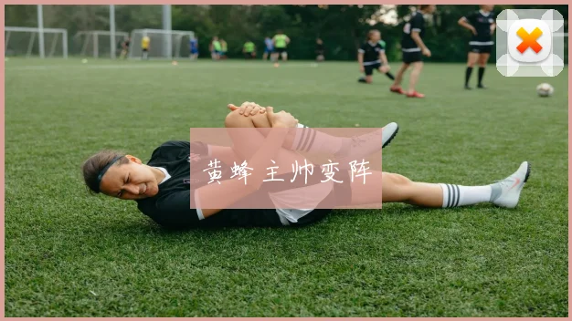黄蜂主帅变阵