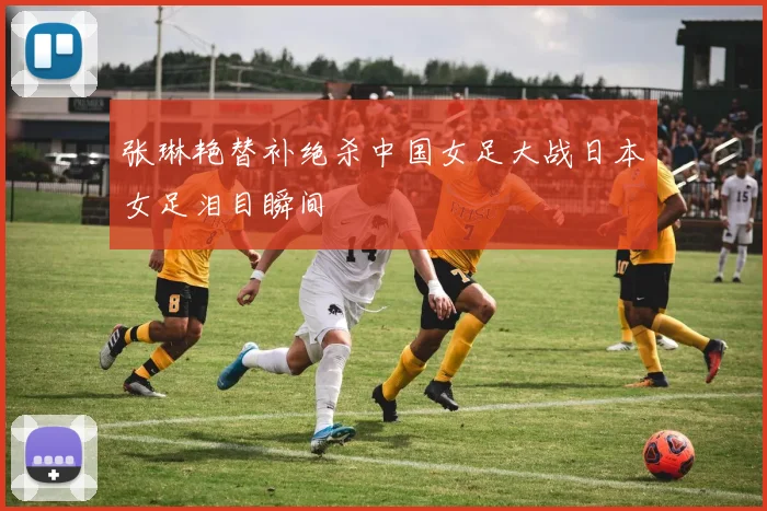 张琳艳替补绝杀中国女足大战日本女足泪目瞬间