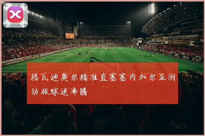 格瓦迪奥尔精准直塞塞内加尔亚洲劲旅球迷沸腾