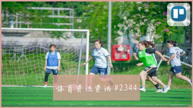 意大利门神多纳鲁马欧洲杯高光集锦