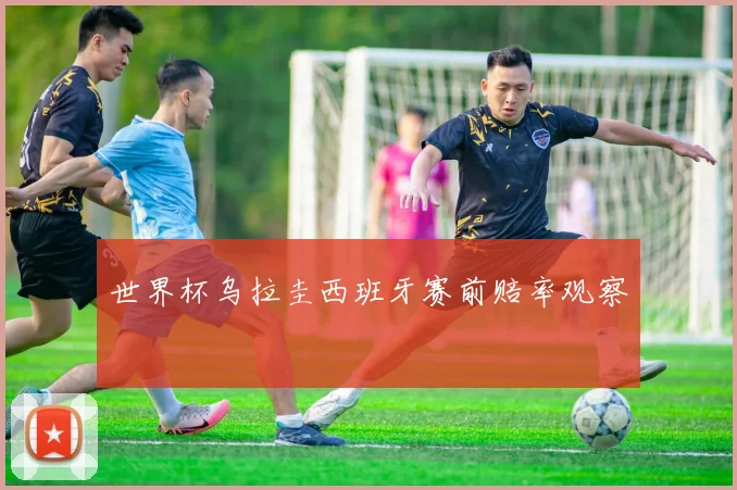 世界杯乌拉圭西班牙赛前赔率观察