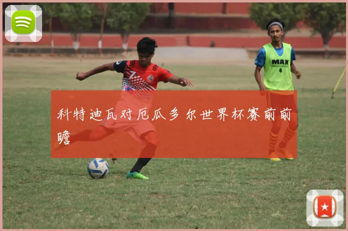 科特迪瓦对厄瓜多尔世界杯赛前前瞻