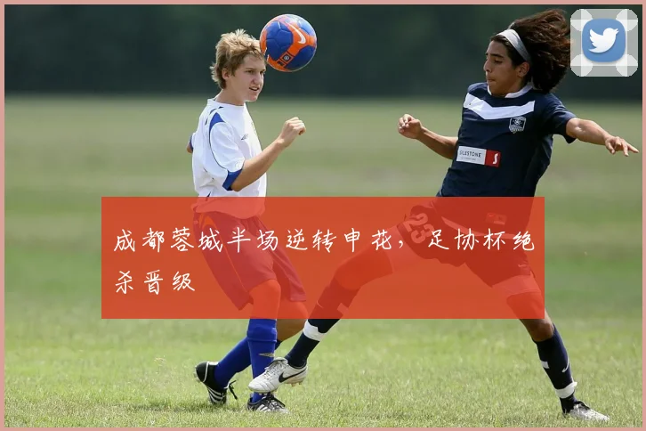 成都蓉城半场逆转申花，足协杯绝杀晋级