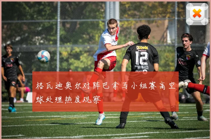 格瓦迪奥尔对阵巴拿马小组赛高空球处理热度观察