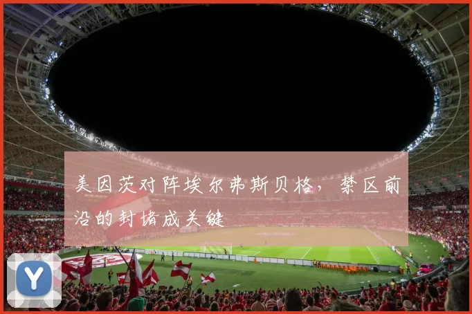 美因茨对阵埃尔弗斯贝格，禁区前沿的封堵成关键