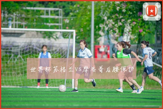 世界杯苏格兰vs摩洛哥后腰保护